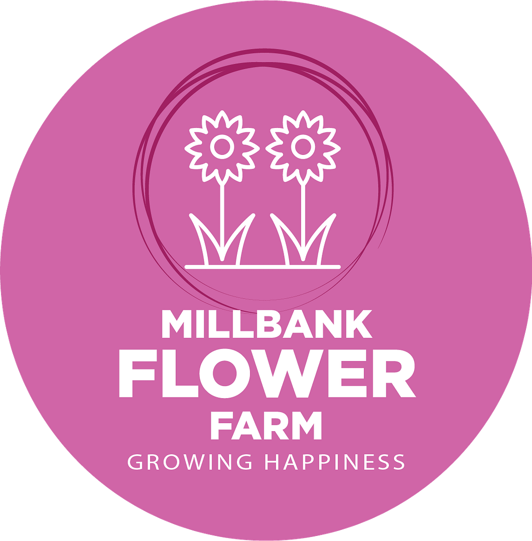 Millbank Flower Farm